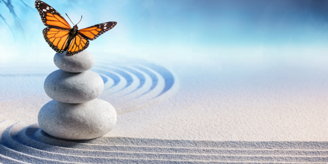 Georgie McMinn Counselling — a monarch butterfly resting on balanced stones in a calm zen garden